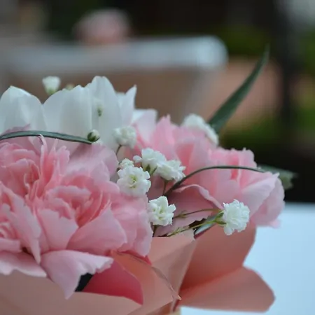 & Diamant 4* ساني بيتش