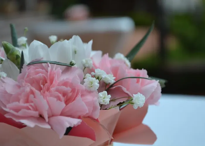 & Diamant 4* Slantchev Briag